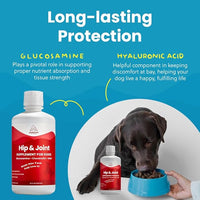 Liquid Glucosamine for Dogs, 1600mg Glucosamine Chondroitin MSM, Hip & Joint Supplement for Large Dogs, Liquid Arthritis Relief & Mobility Support, 32 oz