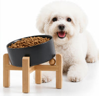 Black Raised/Elevated 15°Slanted Ceramic Dog Bowl for Small Breeds - Black / 1.7 CUPS - Puppy/Small Dogs & Cat Bowls