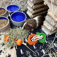 Blue Mountain Hay | Fresh Organic Oat Hay (15 Ounce) | Good for Sensitive Digestion | High-Altitude Hay Pet Food for Rabbits, Guinea Pigs, Chinchillas, Hamsters, and Other Small Pets