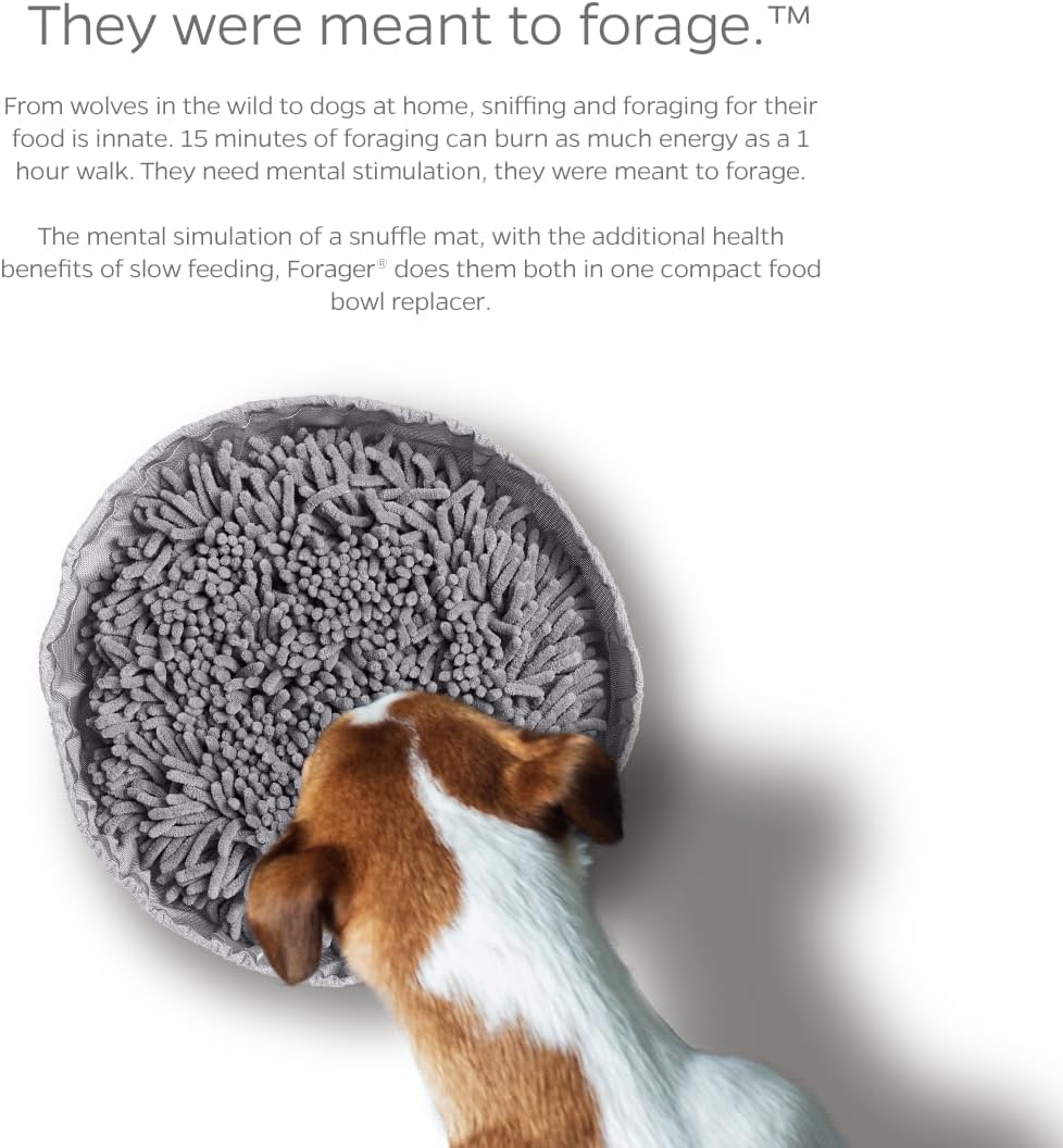 Pet Parents Forager Bowls - Forest Modern Grey - image 3