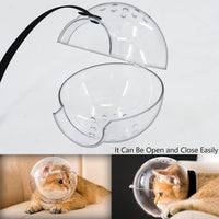 Cat Transparent Muzzle with Breathable Hood - M - image 4