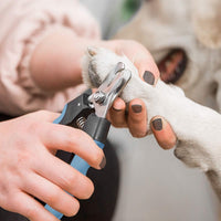 Pet Nail Clippers and Trimmers Set Safety Guard to Avoid Over Cutting - Blue/Black - image 3
