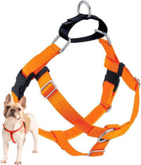2 Hounds Design Freedom No Pull Dog Harness - Neon Orange / 1" MD (Chest 24" - 28")