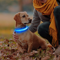 Light Up Collar for Small Dogs& Cats - S (11.8-15.7inch/ 30-40cm) / Blue - image 4
