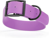 Dogline Biothane Waterproof Dog Collar Strong Coated Nylon Webbing with Black Hardware Odor- Proof for Easy Care Easy to Clean High Performance Fits Small Medium or Large Dogs, Amethyst Purple