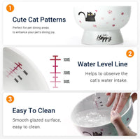 Raised Cat Food Bowl Ceramic 15° Tilted Cat Food Bowls Protect Cat's - Pink-Water Bowl / 1 - image 4