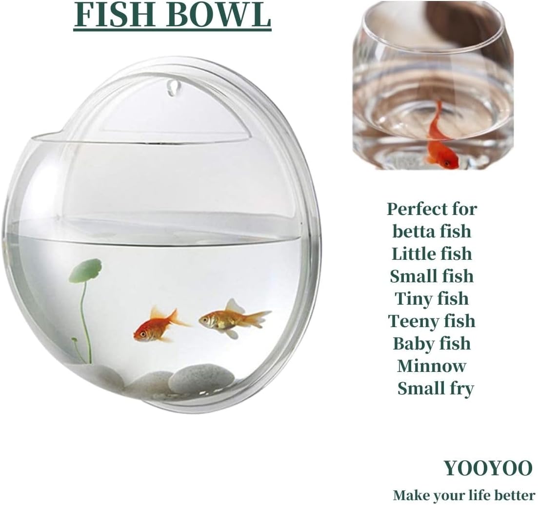 Creative Acrylic Hanging Wall Mounted Fish Tank - 1 Gallon / 11.5 '' / 2 - image 2