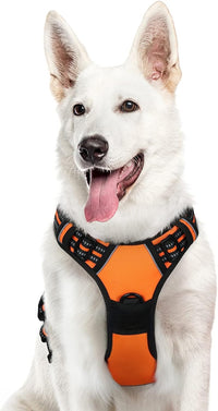 Eagloo Dog Harness for Large Dogs - X-large / Orange