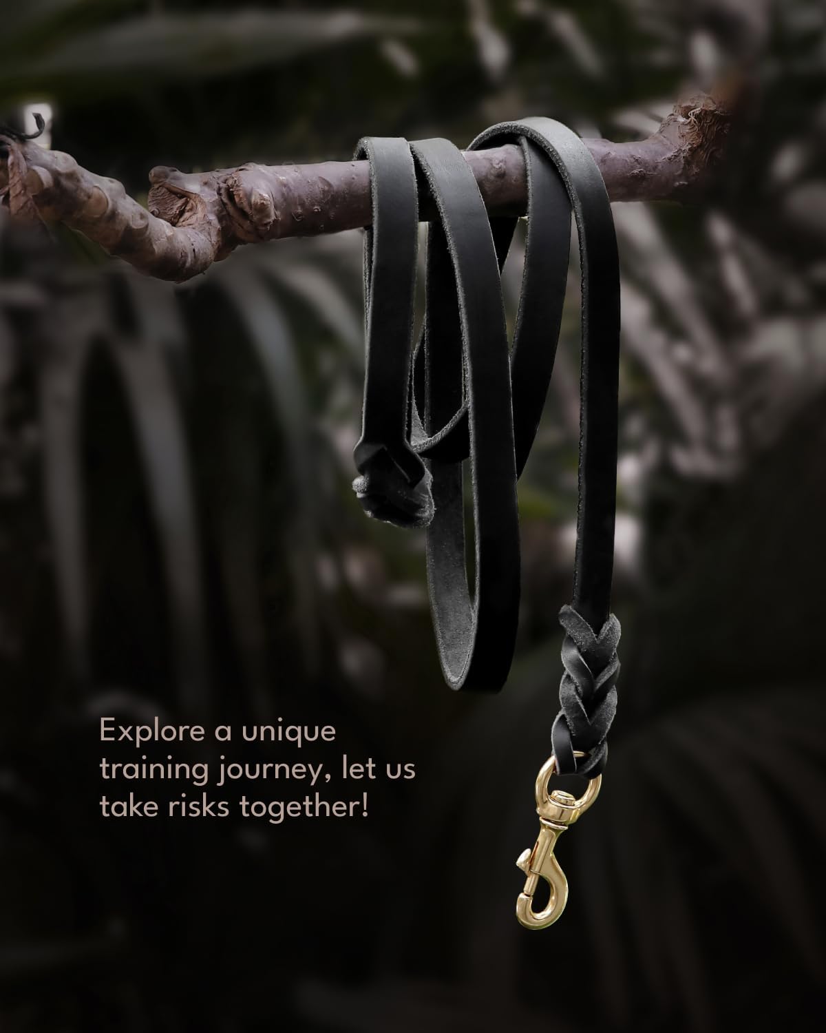 Braided Leather Dog Training Leash 6 Foot - Xl - 6 ft x 1 inch / Black - image 3