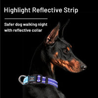 Roses&Poetry Reflective Dog Collar with Gradient Mistyrose - Medium / Golden,Violet,Purple - image 4
