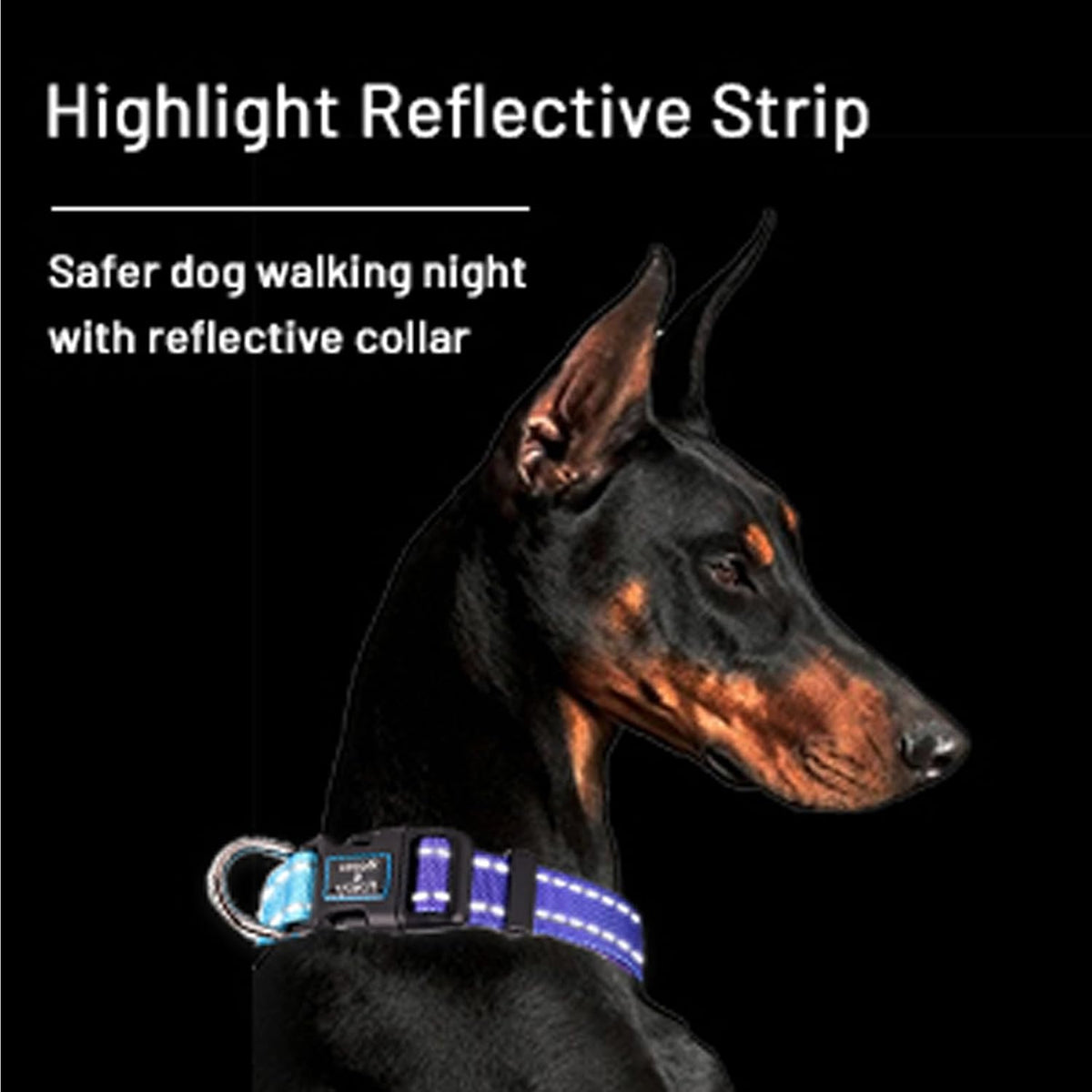Roses&Poetry Reflective Dog Collar with Gradient Mistyrose - Medium / Golden,Violet,Purple - image 4