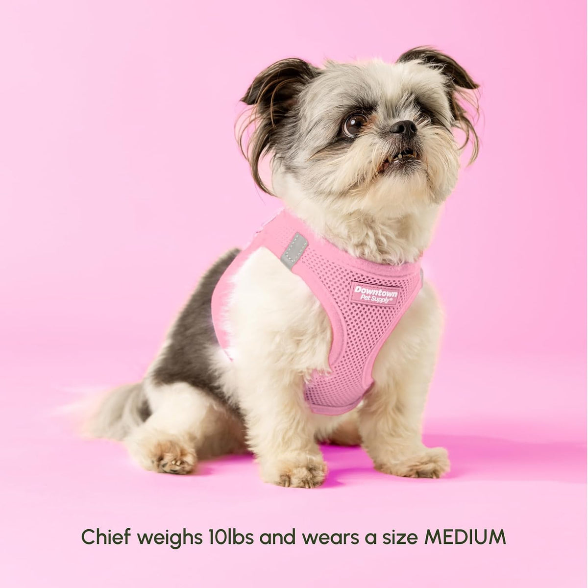 Downtown Pet Supply Step in Dog Harness for Teacup Dogs & Cats No Pull - XX-Small / Baby Pink - image 2