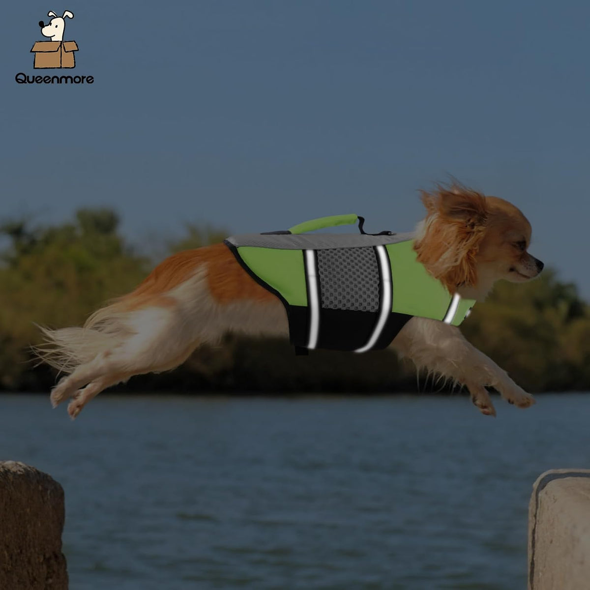 Dog Life Jacket, Small Float Vest for Swimming Boating Kayaking - Small / Green - image 3