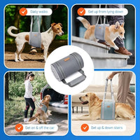 Dog Lift Harness for Medium Dogs - Adjustable Sling for Rear Legs, Hip Support for Canine Aid & Cruciate Ligament Rehabilitation - Medium, Grey