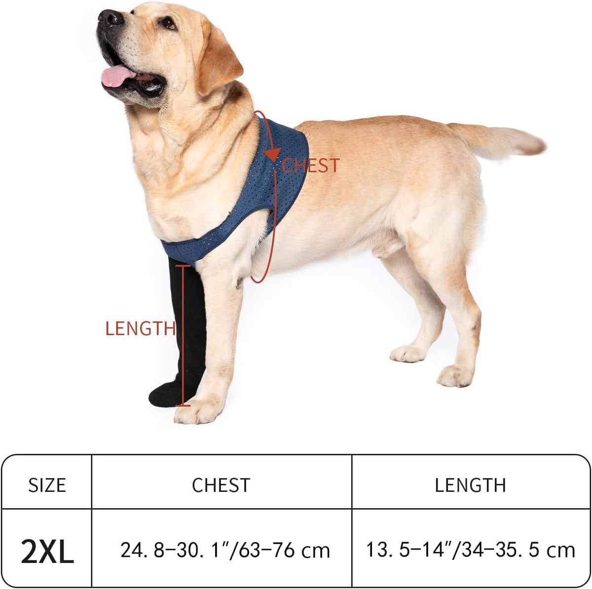 COODEO Dog Socks to Prevent Licking Paws - 2XL_Right / Purple - image 2