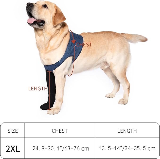 COODEO Dog Socks to Prevent Licking Paws, Healing Boots & Paw Protectors with Non-Slip Bottoms for Wound Protection, Waterproof Sleeve Shoes for Licking（Blue，2XL_Right