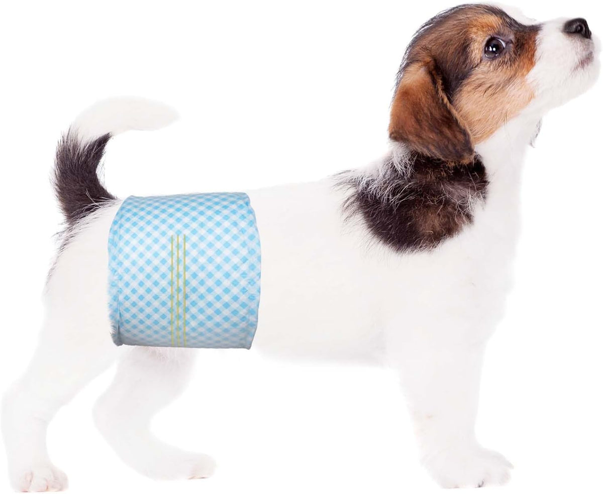 Disposable Belly Bands for Male Dog, Super Absorbent S – Essentials for Dogs - XS / 40.0