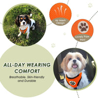 Lukovee Dog Car Harness Seat Belt Set - X-Small / ·Orange - image 3