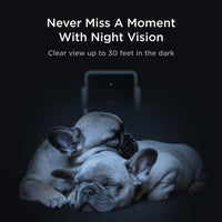 Petcube GPS Tracker for Dogs - Cam – pack of 3 Cameras - image 2