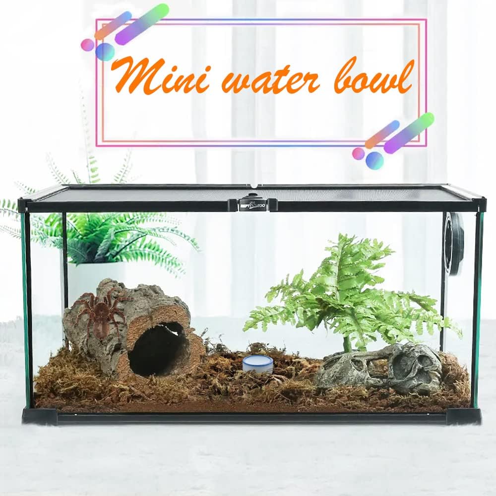 6 Pcs Spider Micro Water Bowl Mini Ceramic Dish for Spider Tarantula - image 2