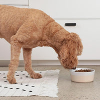 Waggo Dipper Ceramic Dog Bowl for Small and Large Breeds - Heavyweight and Durable Pet Food and Water Dish Crock, Dishwasher Safe, Modern (Small, Buttercream)