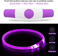 Led Dog Collar, BSEEN USB Rechargeable Flash Light up Dog Collar – Essentials for Dogs - Purple - image 3