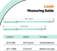 Waterproof Dog Leash, 5/6 FT Durable Odor-Proof Dog Leashes with Strong Metal Hooks Fits Small - Mint Green / 5FT - 3/4 inch Width - image 4