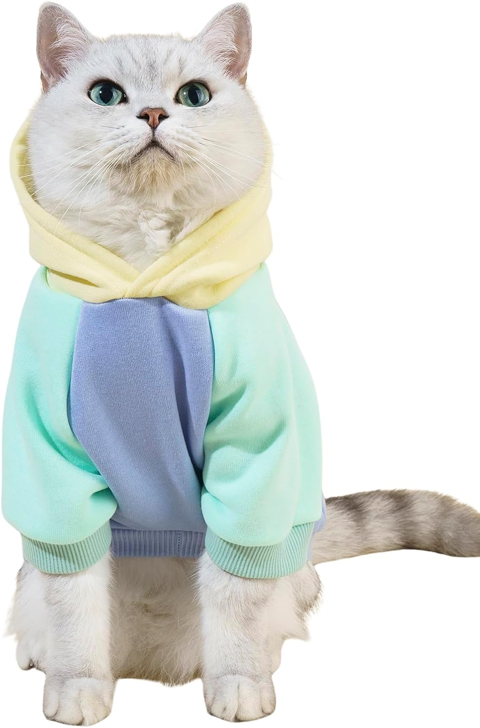 Basic Dog Hoodie Sweatshirt Puppy Sweater Warm Cat Costumes Pet - X-Large / Yellow and Blue