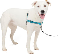 PetSafe Easy Walk Deluxe Dog Harness, No Pull Dog Harness - Medium/Large / Ocean