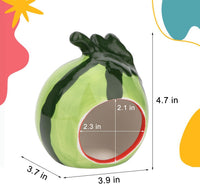 Hypeety Ceramic Hamster Hideout Decor Cool Bed Bath House - Green/Watermelon - image 2