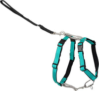PetSafe 3 in 1 No-Pull Dog Harness, Walk, Train or Travel - Teal / Extra Small (Pack of 1)