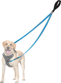 Two Point Control Dog Leash, No Tangle Training Walking Leashes – Essentials for Dogs - Light Blue