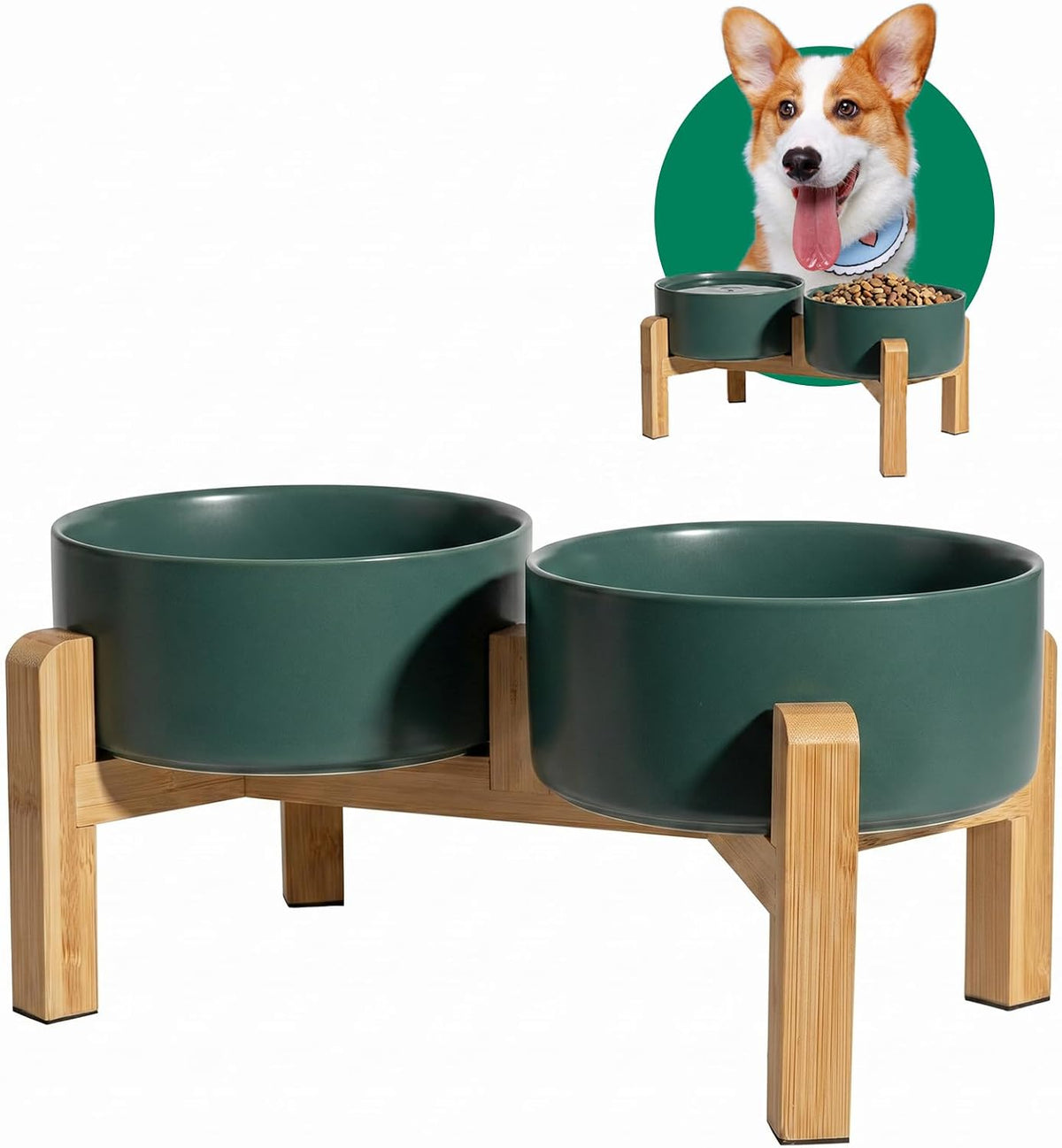 Elevated Ceramic Dog Bowl - Green / Medium