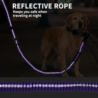 Heavy Duty Bungee Dog Leashes, 4-6FT Shock Absorbing Tactical Dog Leash with 2 Padded Handles, Metal Carabiner Clip,Car Seatbelt, Reflective Dog Leash for Medium Large Dogs (Purple)