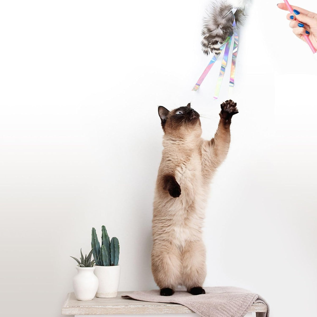 Cat Insect Feather Toys Replacement Cat Toy Wand Refills - Style 2 - image 3