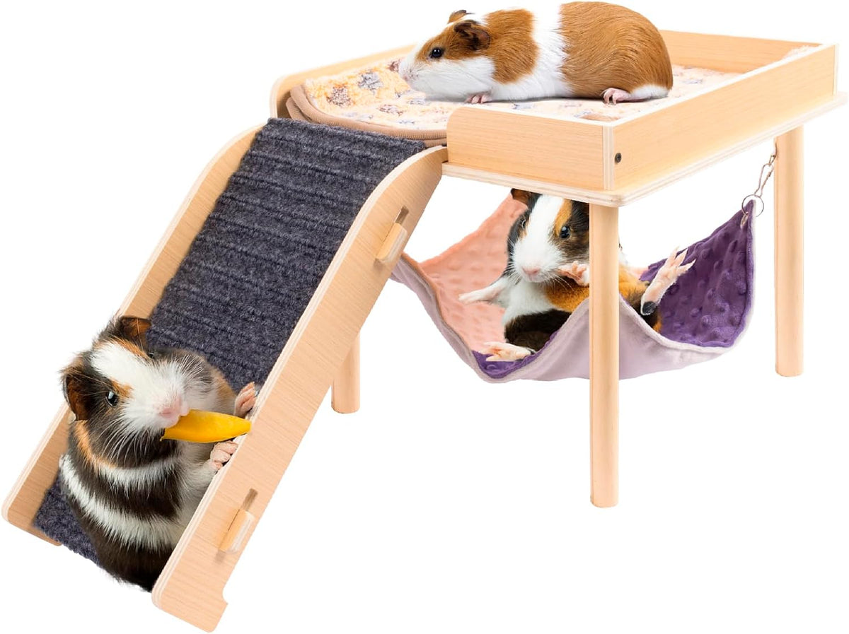 Enlarged Guinea Pig Hammock with Platform and Stairs - Hammock with ramp