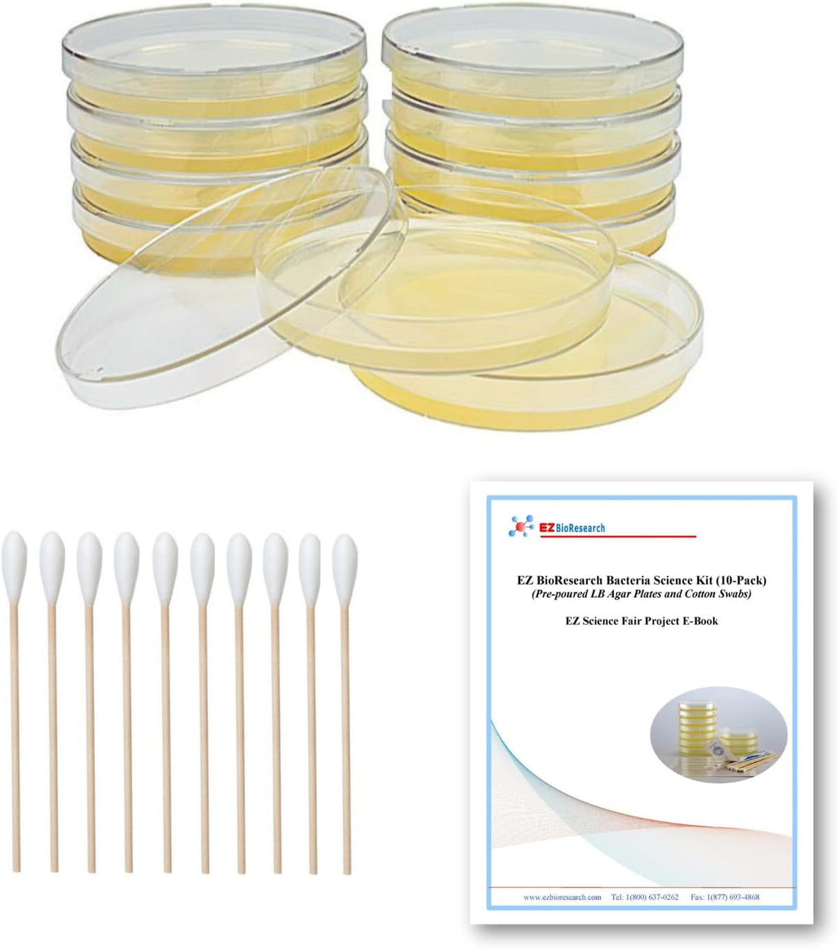 Bacteria Science Kit: Top Science Fair Project Kit. Prepoured LB-Agar
