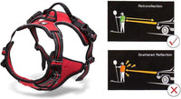 Truelove No Pull Dog Harness with Easy Control Handle and 2 Leash - X-Small / Red - image 3