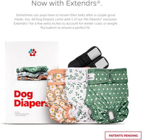 Pet Parents® Washable Dog Diapers (3pack) + Extendrs® of Durable Doggie Diapers, Premium Dog Diapers Female (Large, Daisy)