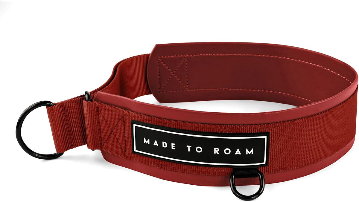 MADE TO ROAM Premium Everyday Dog Collar - Texas Flair / Size 6