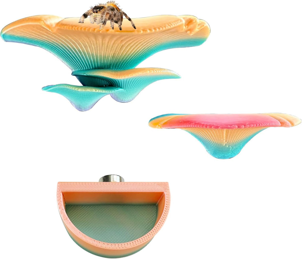 2 Pack Jumping Spider Accessories Mushroom Ledges & 1 Pack Water Bowl - green+yellow