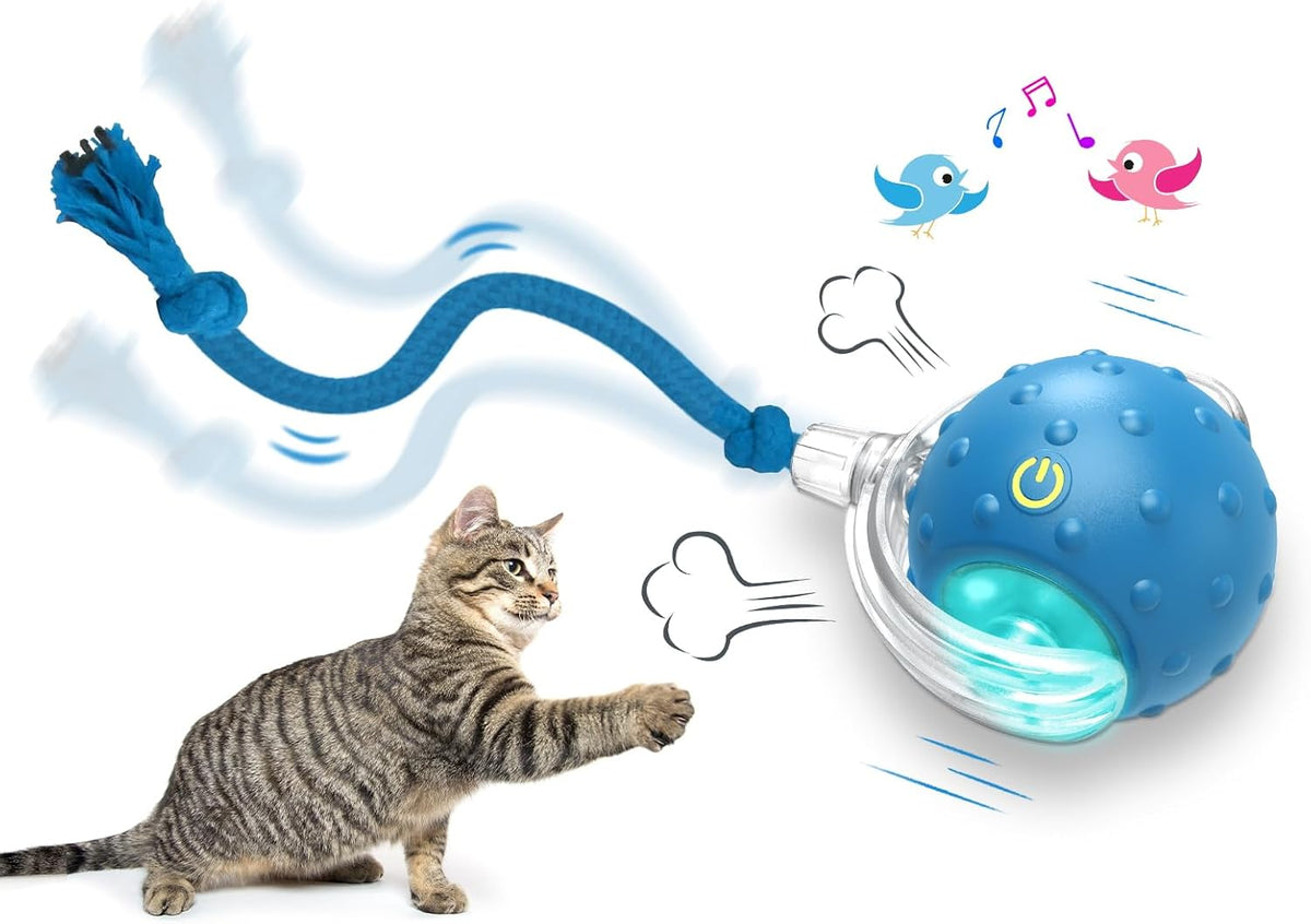 Giociv Interactive Cat Toys Ball for Indoor Cats Fast Rolling on