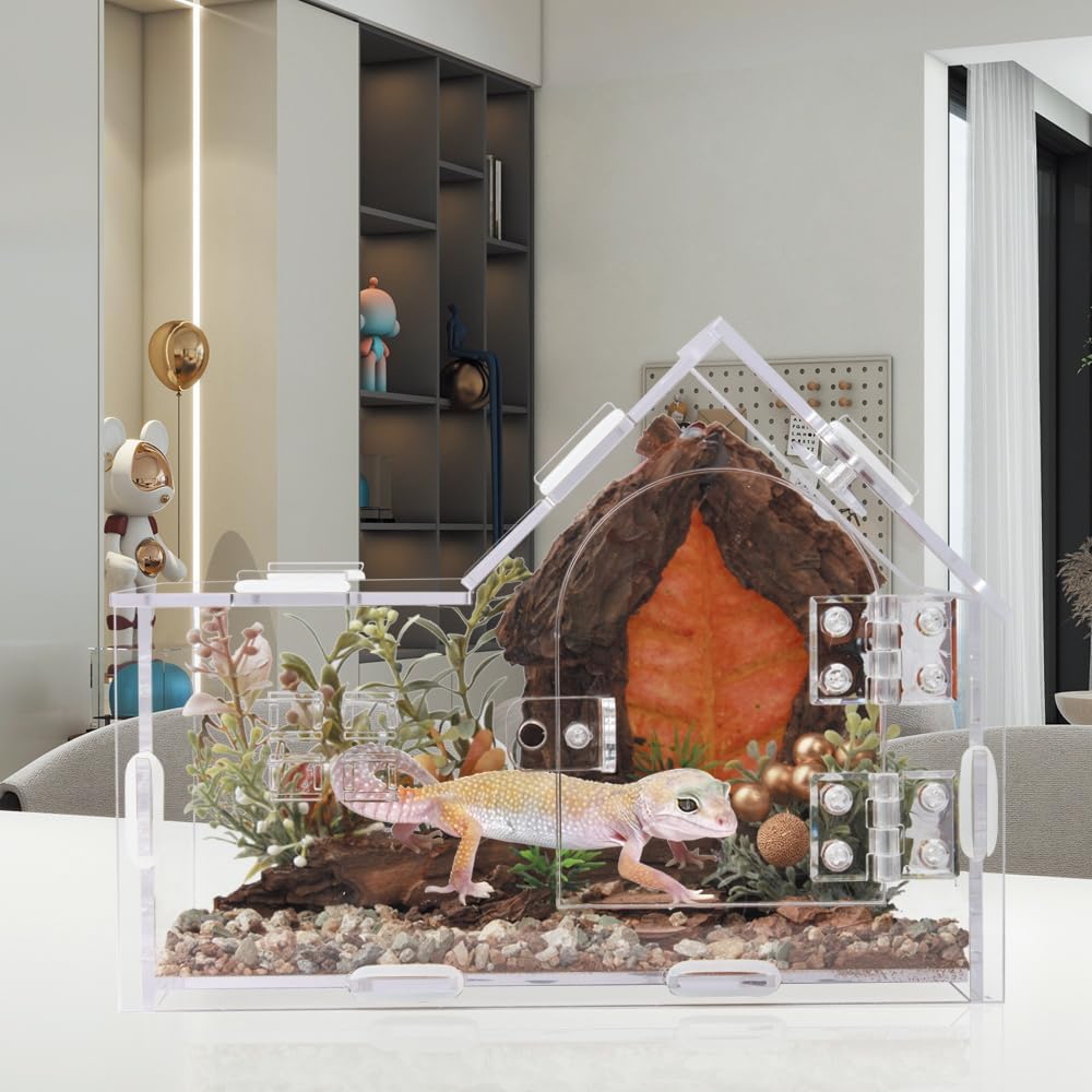 House-shaped acrylic jumping spider enclosure with sloped roof and magnetic sliding front door - view 3