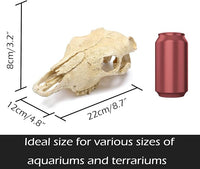 Aquarium Skull Décor Fish Hideout Cave Decorations Betta Tarantula Reptile Snake for Terrarium Ornament Dinosaur Animal Large Bones Halloween