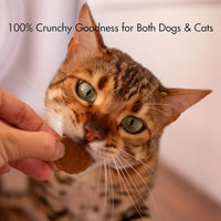 Silver Carp Chips Dog & Cat Treats | Single Ingredient | Wild Caught | Made w/Invasive Fish | Grain Free | High Protein + Low Fat | Hypoallergenic | Compostable Packaging | Made in The USA
