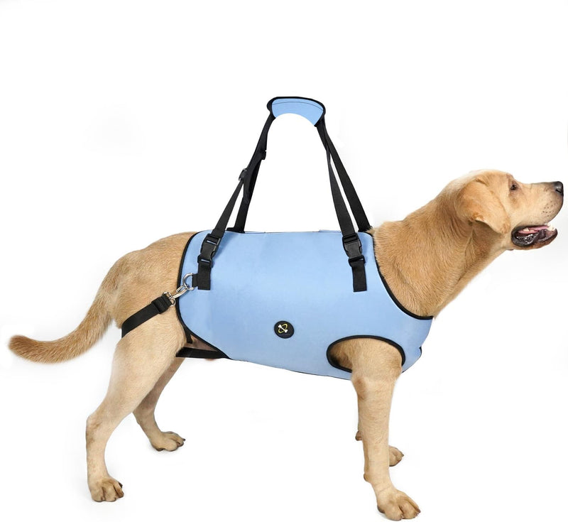 Coodeo Dog Lift Harness, Pet Support & Rehabilitation Sling Lift Adjustable Padded Breathable - Medium / Blue
