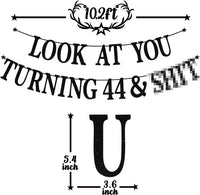 Black Glitter Look at You Turning 25 & Sh*t Banner - 44 - image 2