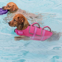 EMUST Dog Life Vest for Swimming - 2X-Large / Rose Pink - image 4