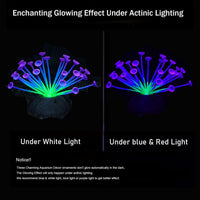 ZtohPyo Glow Fish Tank Decorations - Purple Trumpet-shaped - image 3