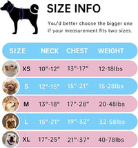IVY&LANE No Pull Dog Harness for Small Dogs, Dog Vest Harness with Leash, Safety Belt and Storage Strap, Fully Adjustable Harness, 360° Reflective Strip, Soft Handle (Blue, S)